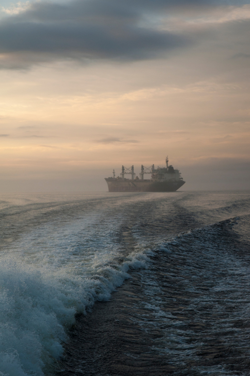 jonatan_stalhos-cargo_ship_at_dawn-5751