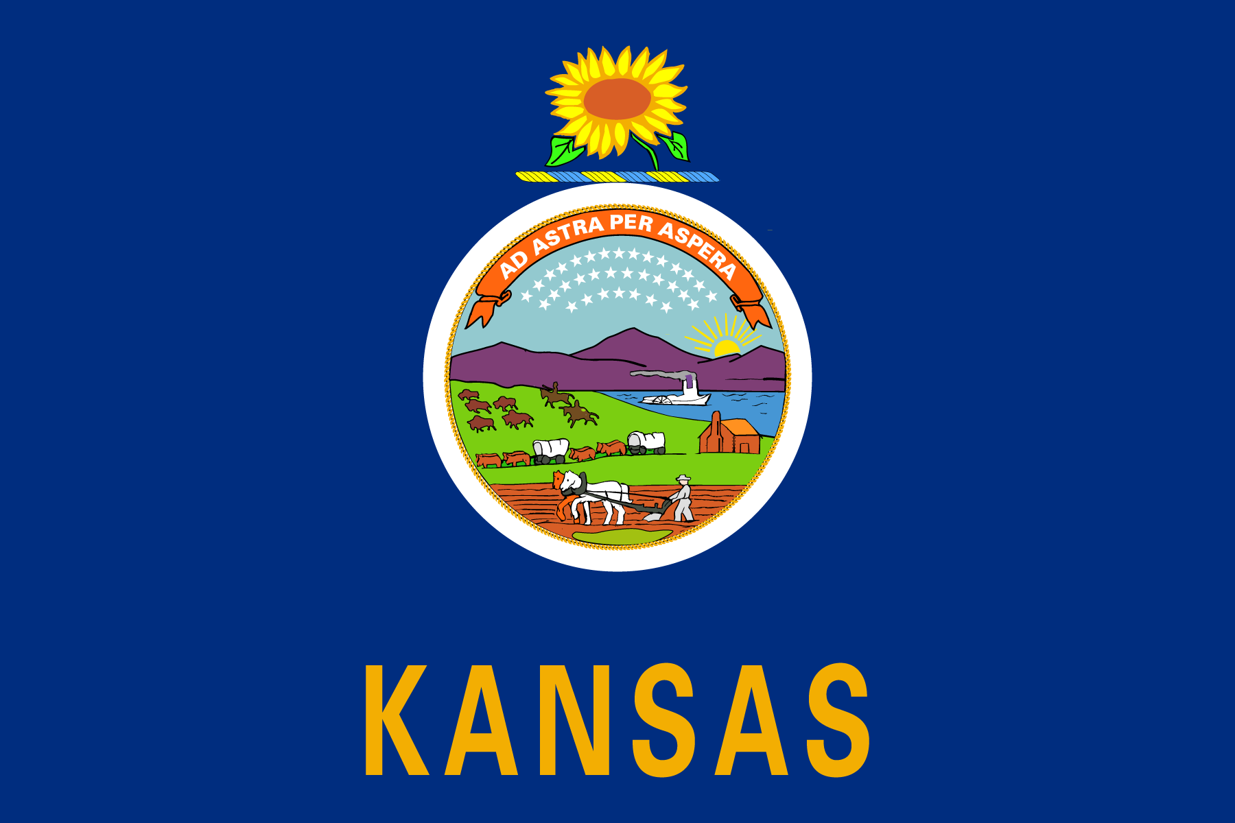 Kansas State Flag